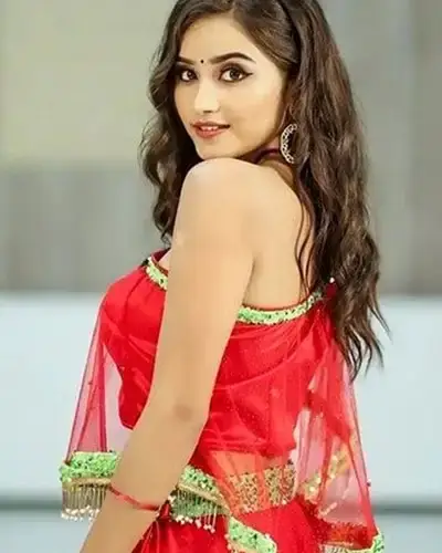 Call Girls Service Srisailam